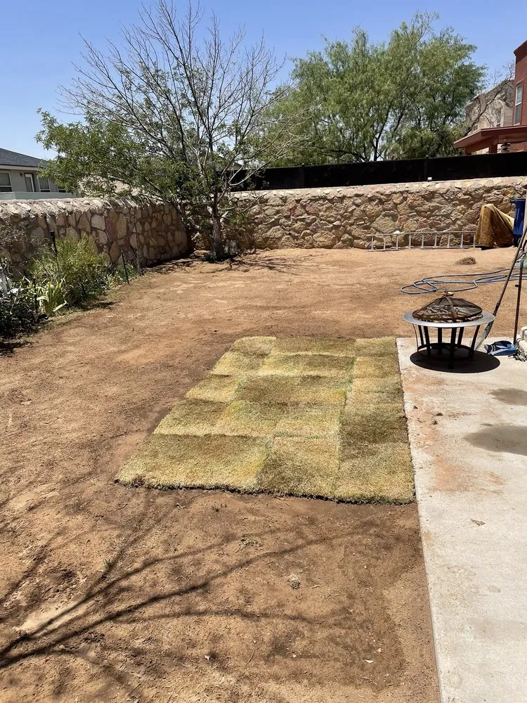 Custom yard maintenance for residential properties across El Paso, TX - Ever grass