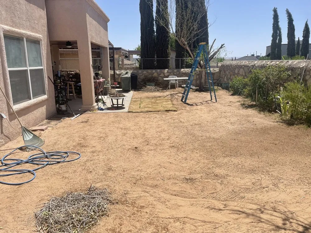 Expert lawn care service for outdoor upgrades across El Paso, TX - Ever grass