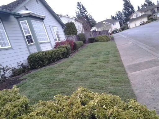 Top-rated lawn care service in Everett, WA by Ever-Green Landscaping