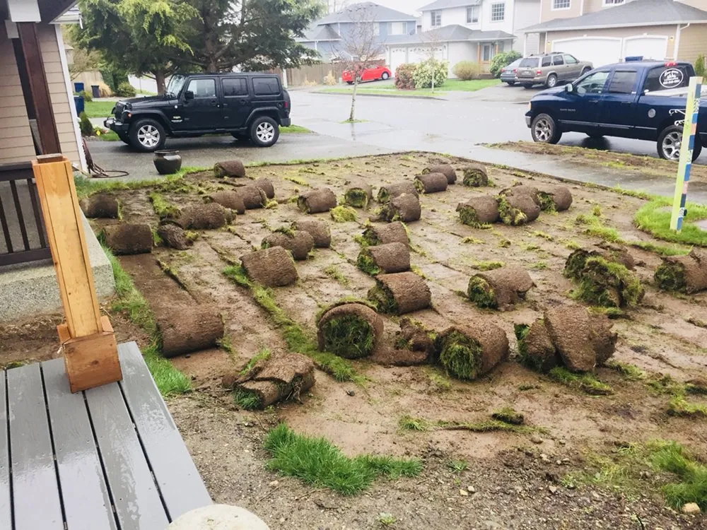 Professional landscaping services for year-round maintenance across Everett, WA - Ever-Green Landscaping