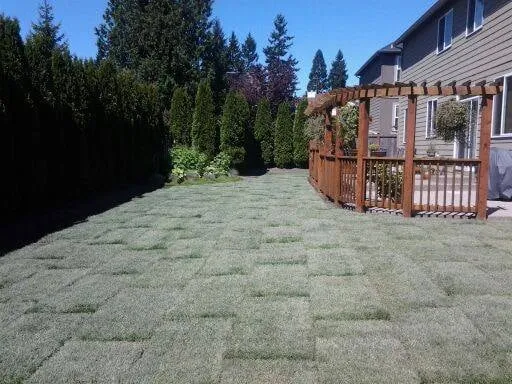 Expert landscaping services in Everett, WA - Ever-Green Landscaping