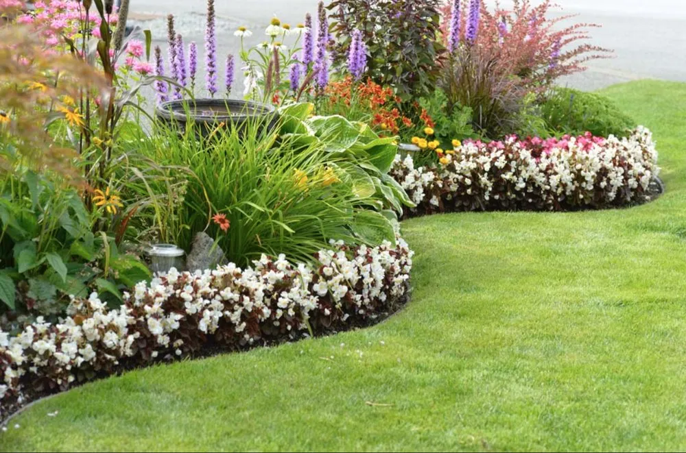 Local residential landscaping in Kagel Canyon, CA - Ever Green Landscaping