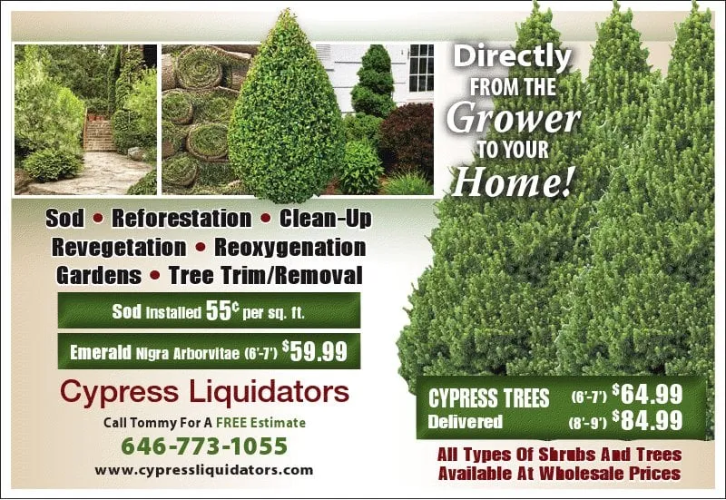 Local lawn care service for outdoor upgrades across Kew Gardens, NY - Ever Green Landscaping