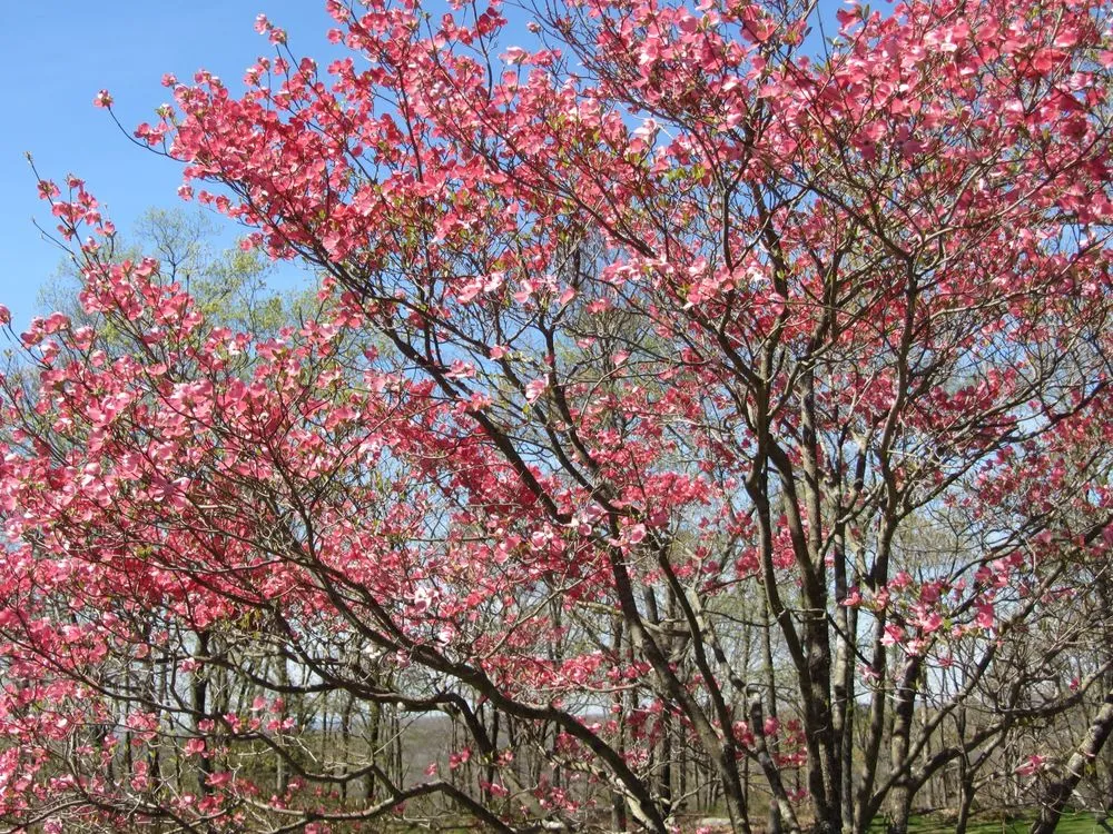 Trusted landscape design in Portland, CT - Ever Green Landscaping