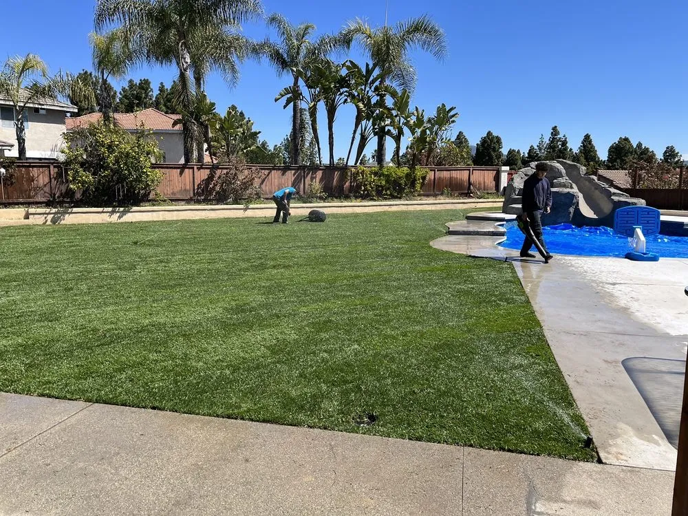 Affordable yard cleanup service in San Diego, CA - Ever Green Landscaping