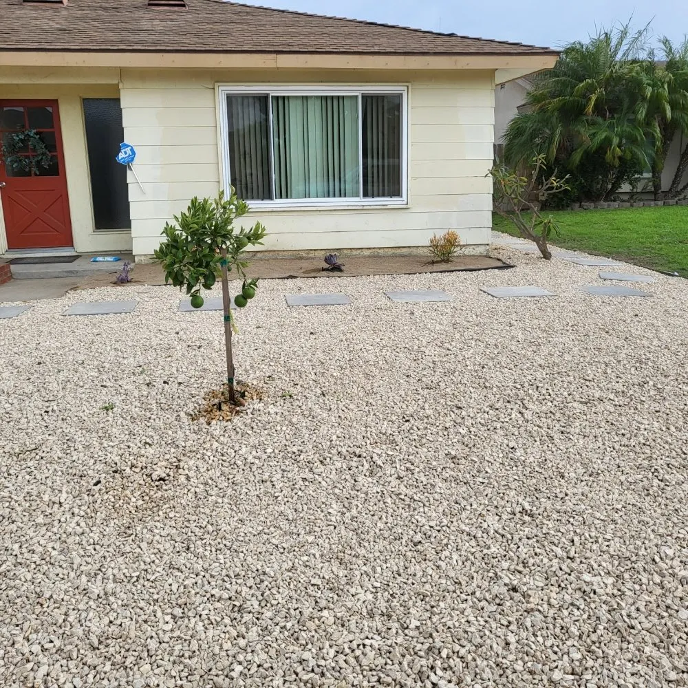 Professional yard cleanup service in San Diego, CA - Ever Green Landscaping