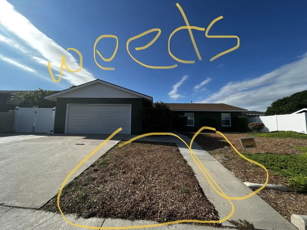 Affordable landscape installation in San Diego, CA by Ever Green Landscaping