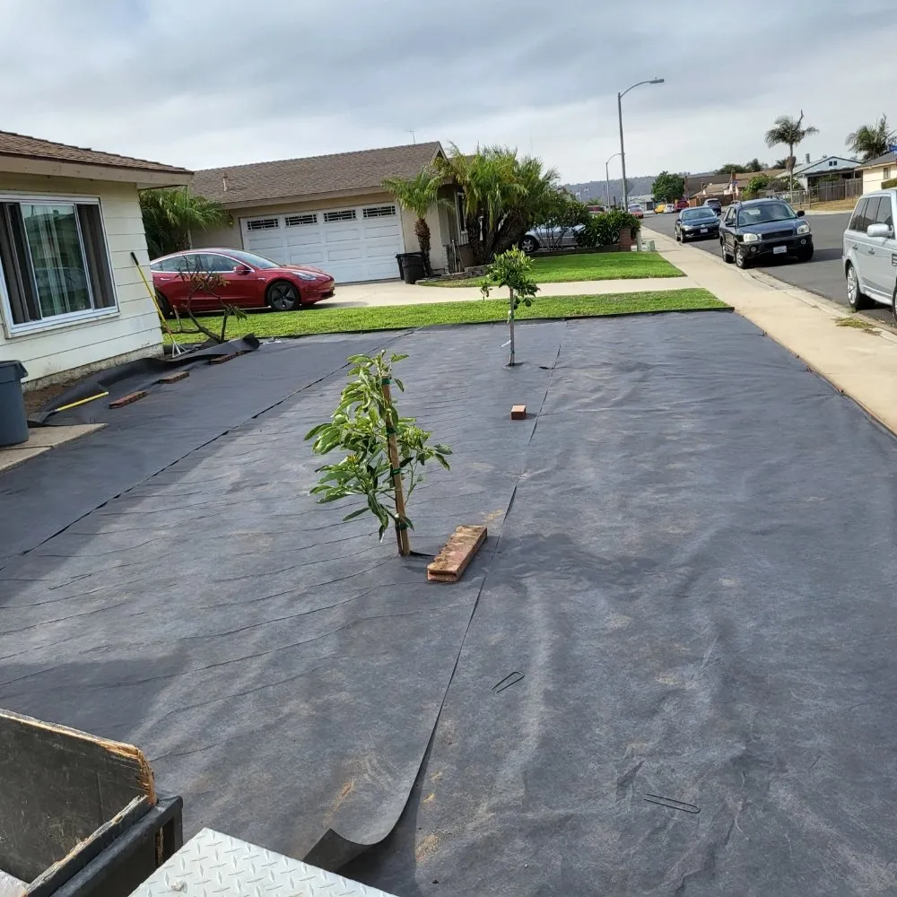 Professional residential landscaping in San Diego, CA by Ever Green Landscaping