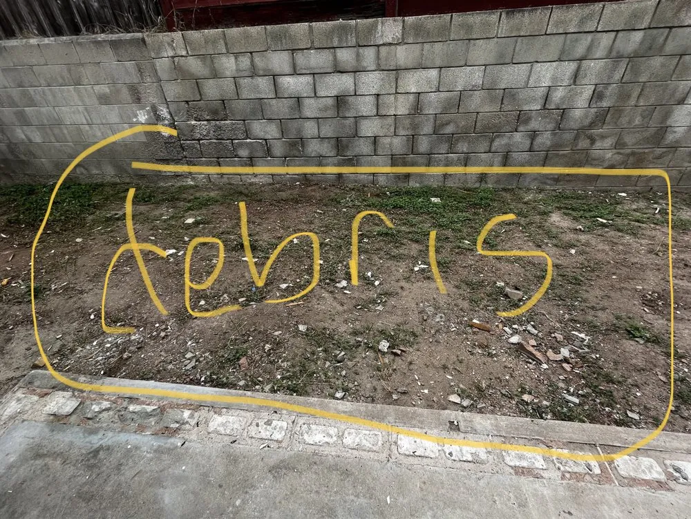 Trusted lawn care service for year-round maintenance in San Diego, CA by Ever Green Landscaping