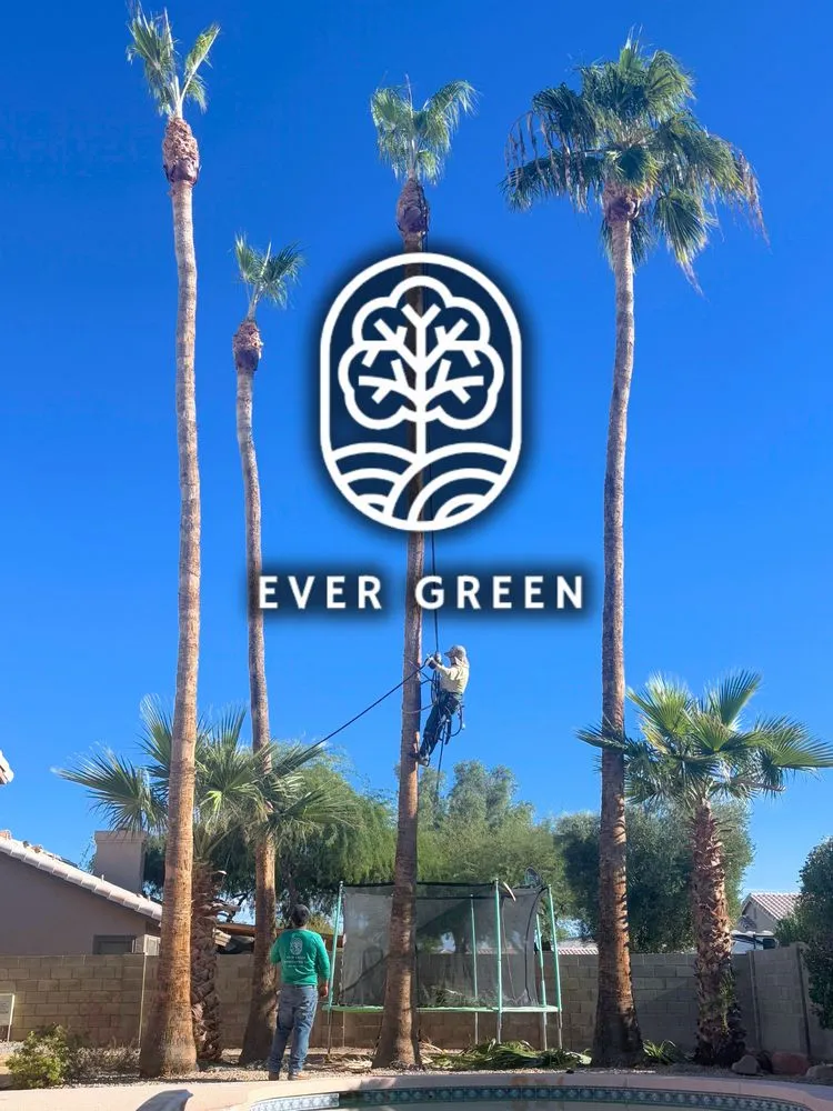 Expert garden landscaping experts serving Mesa, AZ - Ever Green Landscaping Services