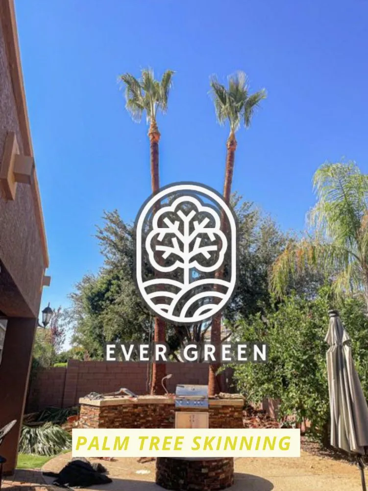 Affordable residential landscaping in Mesa, AZ by Ever Green Landscaping Services