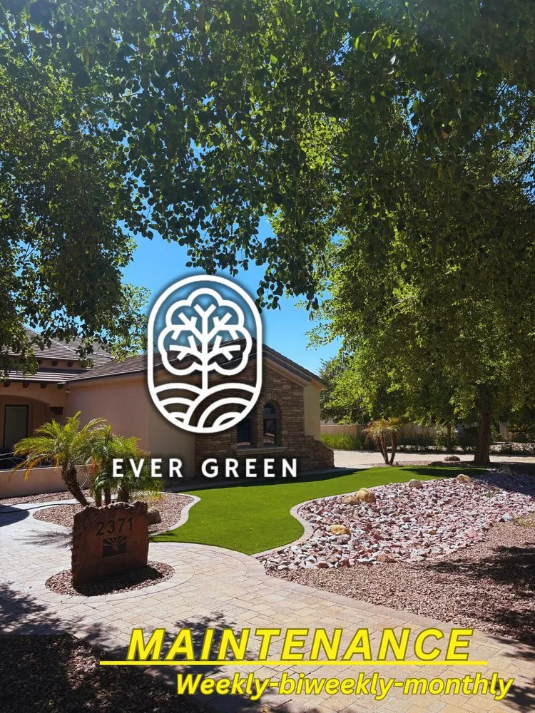 Reliable lawn mowing service experts serving Mesa, AZ - Ever Green Landscaping Services