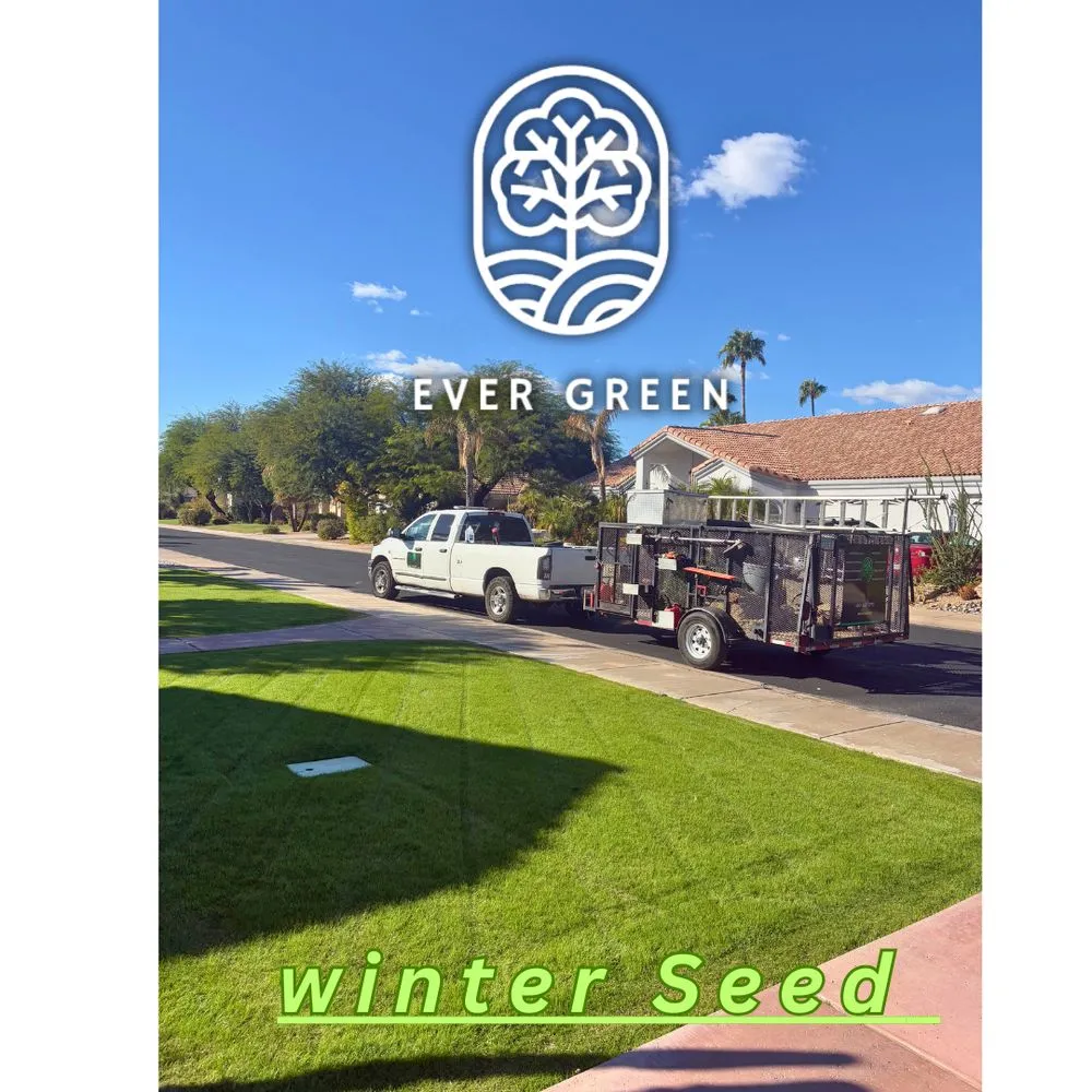 Affordable landscape installation in Mesa, AZ by Ever Green Landscaping Services