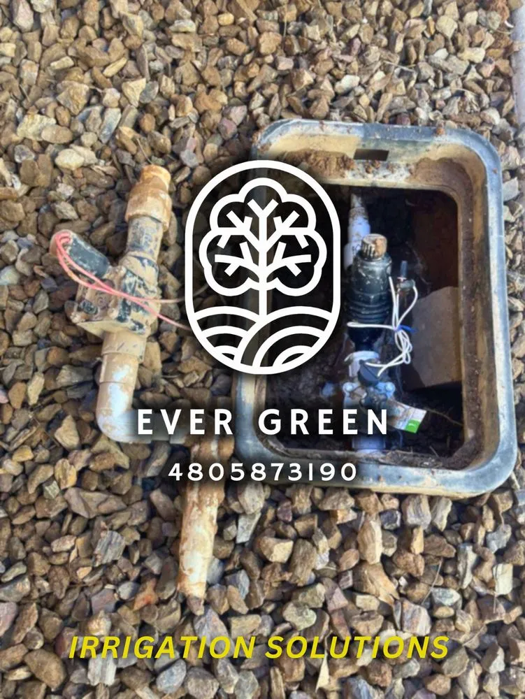 Trusted yard maintenance in Mesa, AZ - Ever Green Landscaping Services