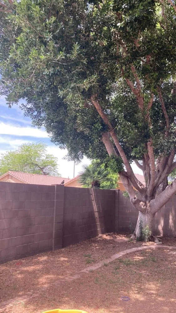 Trusted lawn mowing service near you in Mesa, AZ by Ever Green Landscaping Services