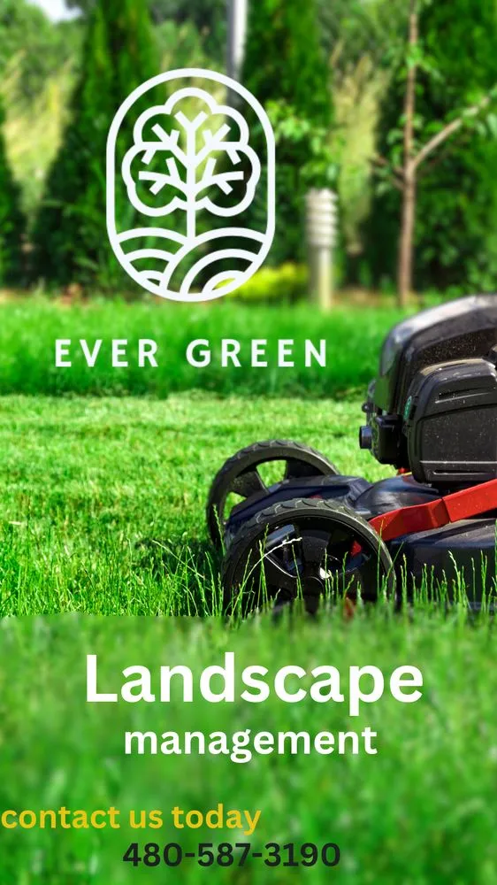 Custom lawn mowing service experts serving Mesa, AZ - Ever Green Landscaping Services