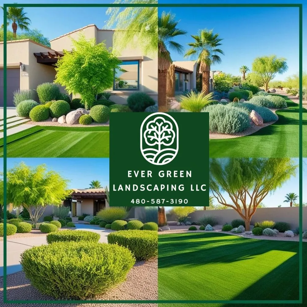 Professional residential landscaping for residential properties across Mesa, AZ - Ever Green Landscaping Services