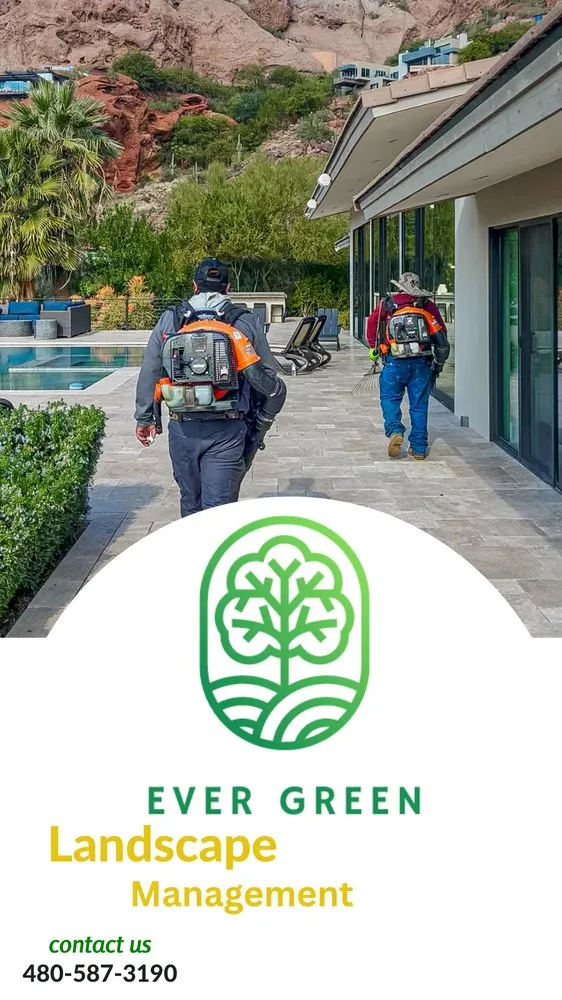 Local landscape installation experts serving Mesa, AZ - Ever Green Landscaping Services