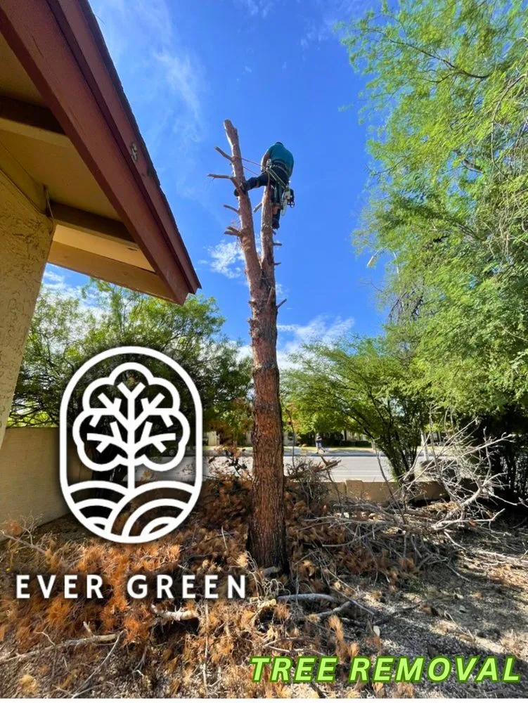 Expert residential landscaping in Mesa, AZ by Ever Green Landscaping Services