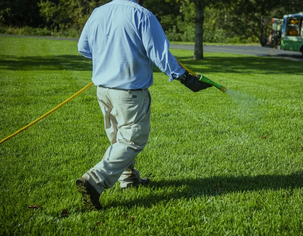 Trusted landscape installation near you in Land O Lakes, FL by Ever Green Lawn care & Pest Control