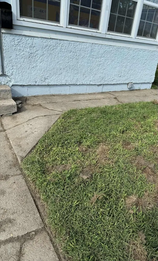 Expert landscape design near you in Missouri Valley, IA by Ever Green Lawncare