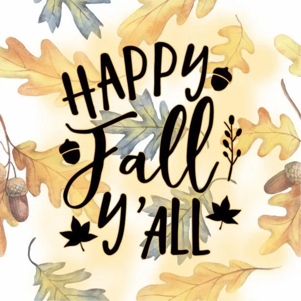 Professional landscaping services experts serving Missouri Valley, IA - Ever Green Lawncare