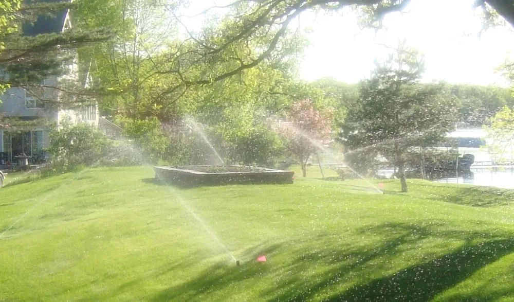 Professional yard maintenance in Deer Creek, MN by Ever Green Lawns