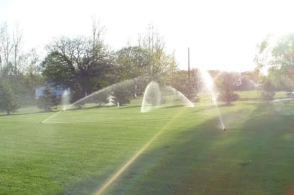 Ever Green Lawns