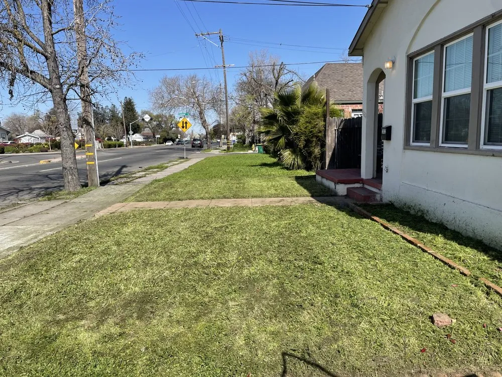 Custom landscaping services for year-round maintenance in Stockton, CA by Ever Green Oasis