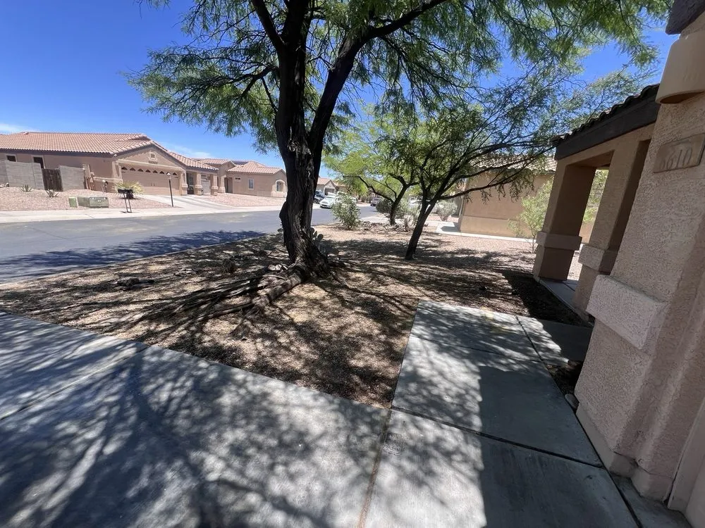 Top-rated residential landscaping experts serving Tucson, AZ - Ever Green Solution Az