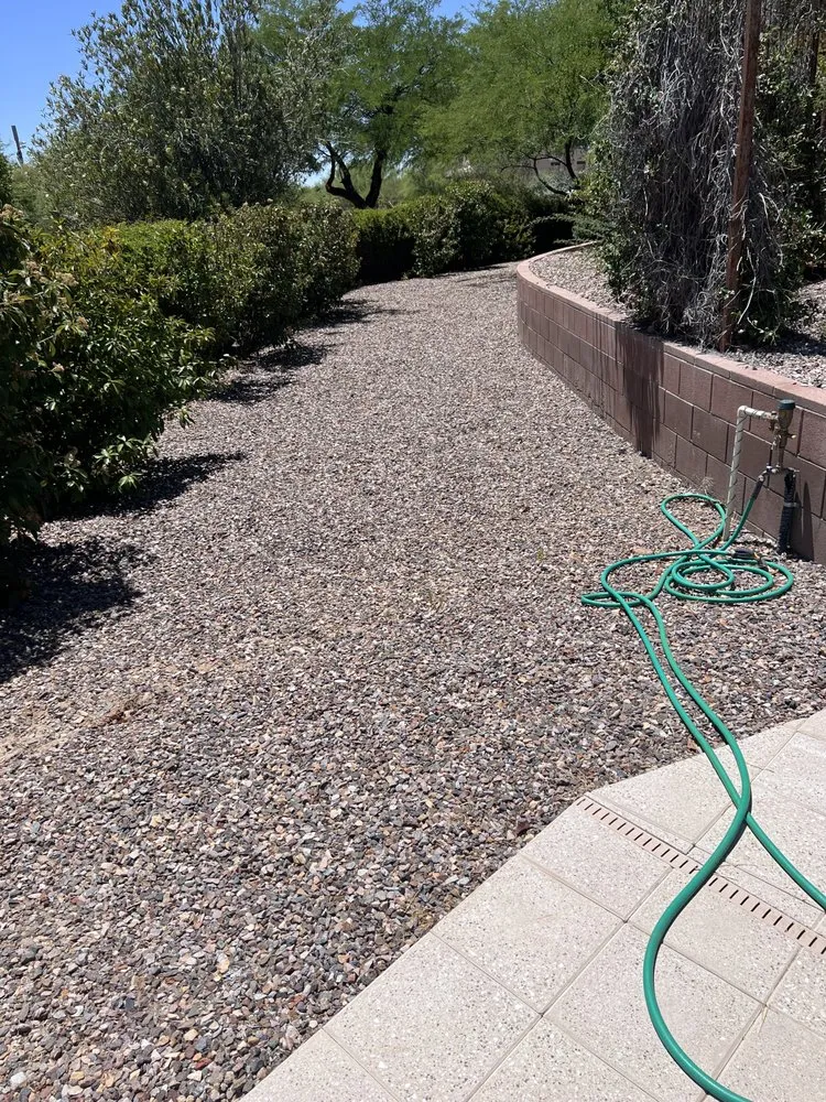Trusted yard cleanup service in Tucson, AZ by Ever Green Solution Az