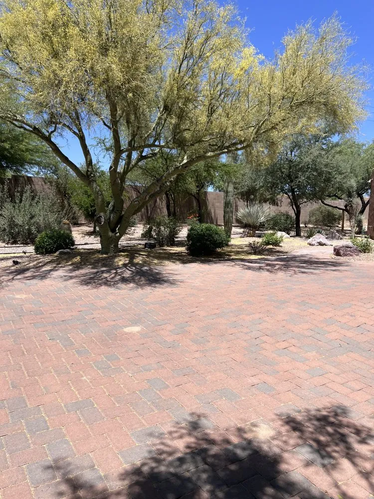 Local landscape installation in Tucson, AZ by Ever Green Solution Az