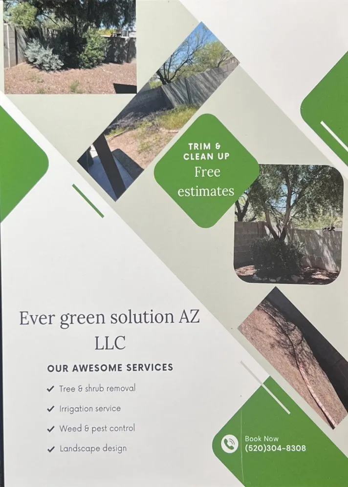 Trusted outdoor landscaping experts serving Tucson, AZ - Ever Green Solution Az