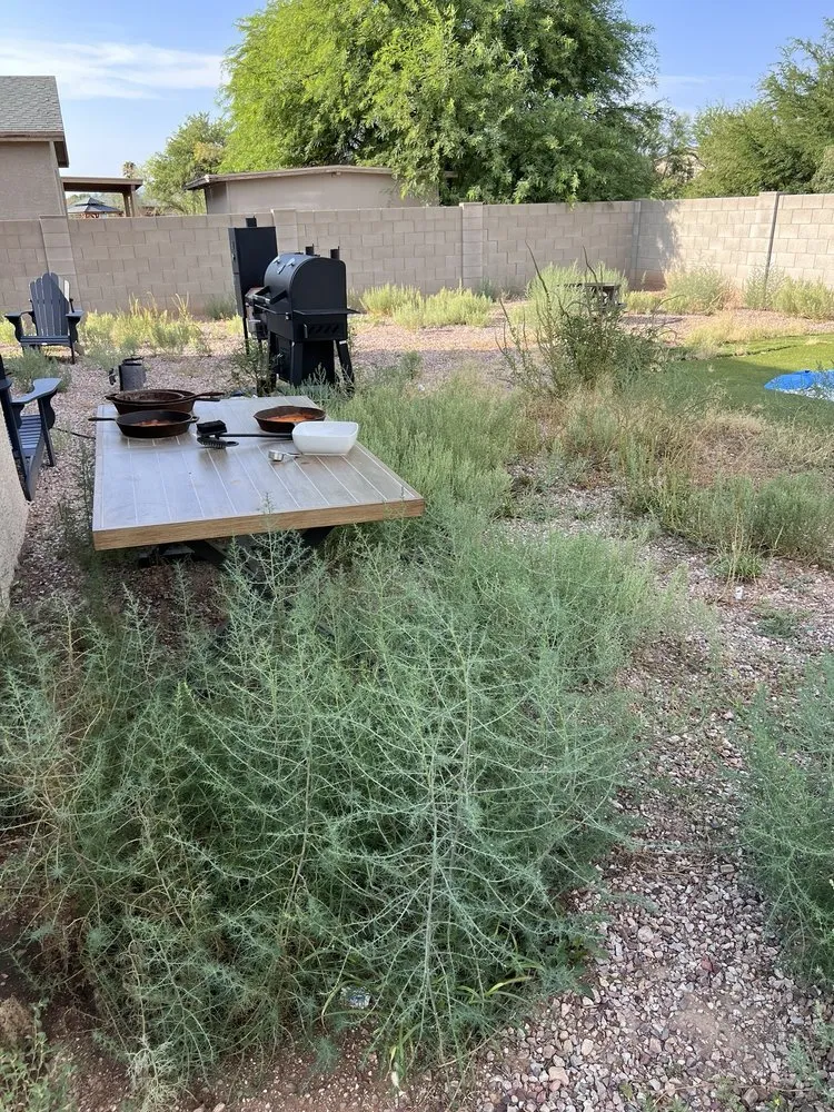 Reliable yard cleanup service for outdoor upgrades in Tucson, AZ by Ever Green Solution Az