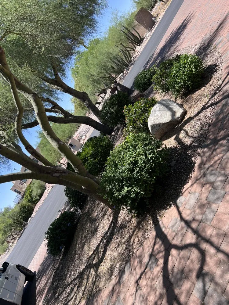 Custom landscaping services in Tucson, AZ - Ever Green Solution Az