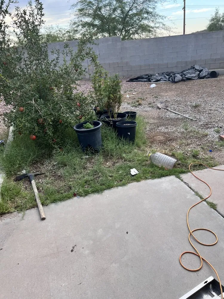 Top-rated garden landscaping for homes across Tucson, AZ - Ever Green Solution Az