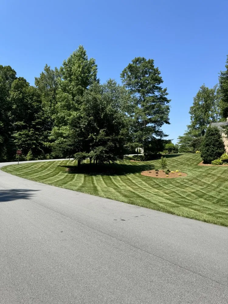 Reliable outdoor landscaping in High Point, NC - Ever Green Solutions