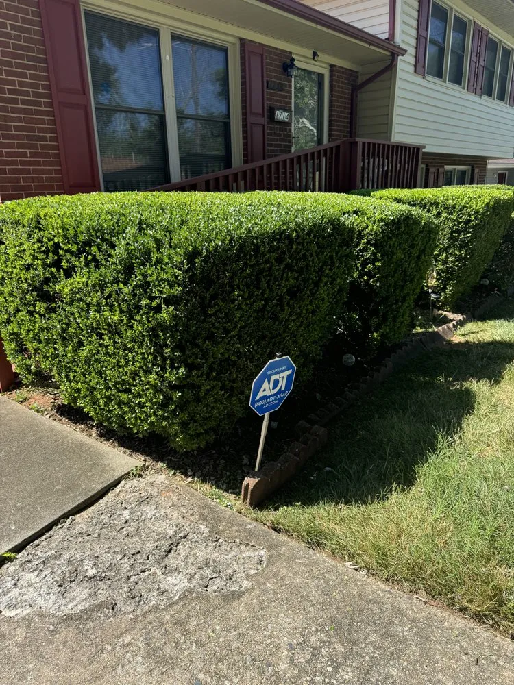 Top-rated landscape installation in High Point, NC - Ever Green Solutions