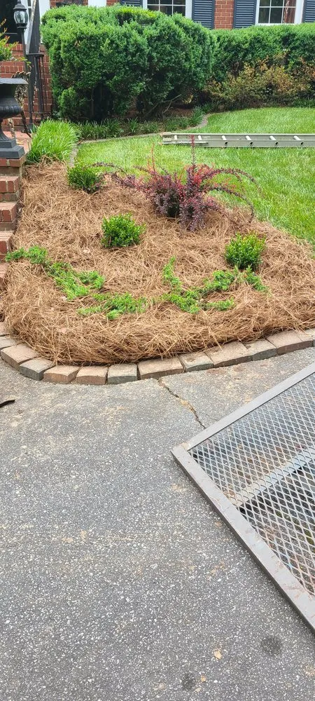 Affordable yard cleanup service for beautiful yards across High Point, NC - Ever Green Solutions