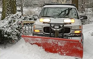 Expert yard maintenance experts serving Aurora, IL - Ever Green Tree Services & Landscaping