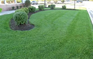 Affordable garden landscaping in Aurora, IL by Ever Green Tree Services & Landscaping