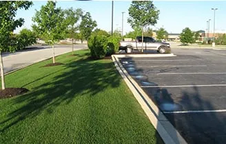 Expert lawn mowing service for outdoor upgrades in Aurora, IL by Ever Green Tree Services & Landscaping