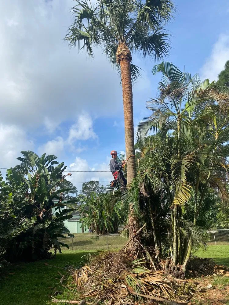 Expert landscape installation for homes across West palm beach, FL - Ever Landscaping