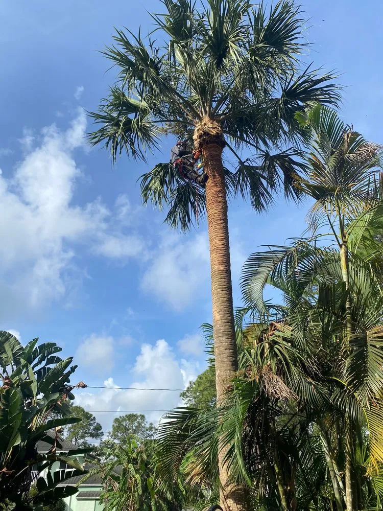 Affordable landscape design for beautiful yards across West palm beach, FL - Ever Landscaping