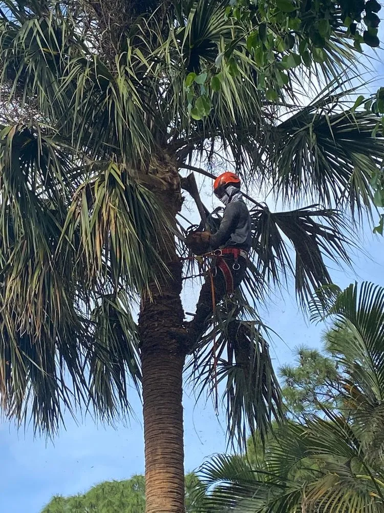 Affordable landscaping services for year-round maintenance across West palm beach, FL - Ever Landscaping