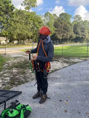 Ever Landscaping Logo