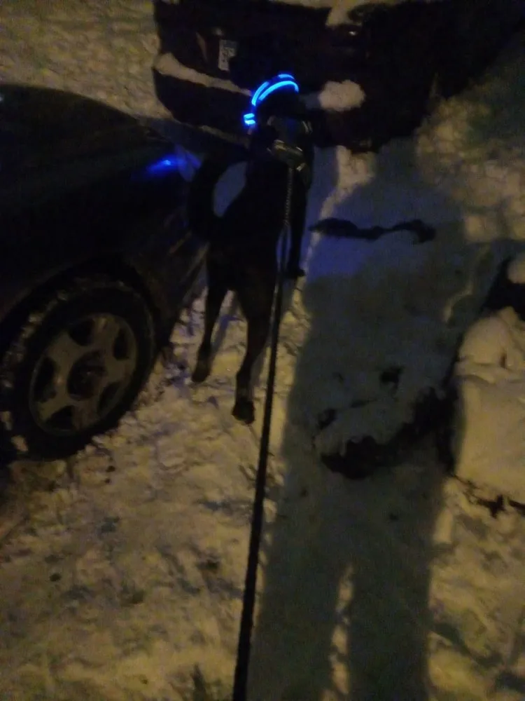 Local lawn mowing service for beautiful yards across Detroit Lakes, MN - Ever la$ting landscaping