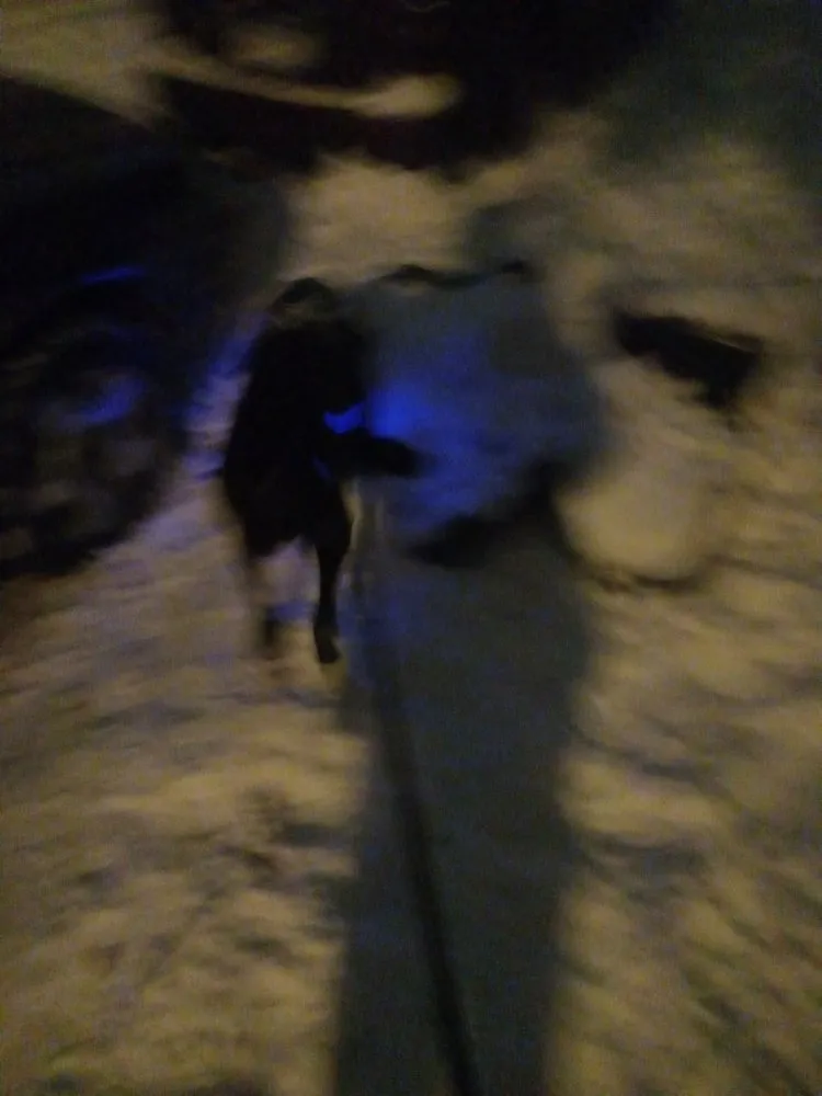 Trusted yard maintenance for outdoor upgrades across Detroit Lakes, MN - Ever la$ting landscaping