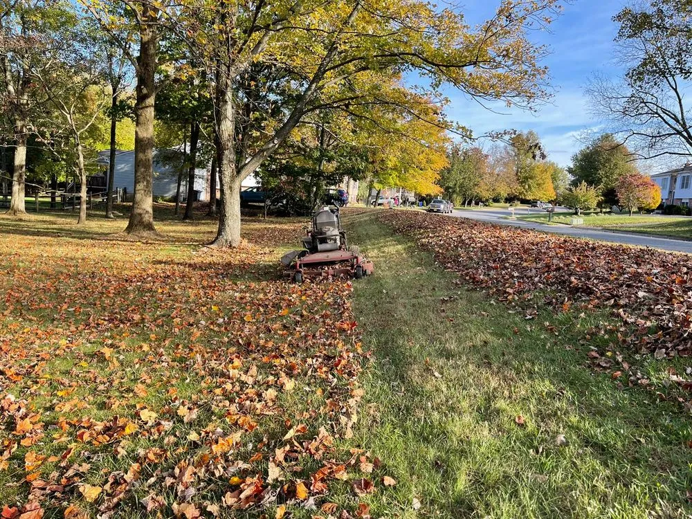 Top-rated lawn care service in Glen Burnie, MD by Ever Lawn Care