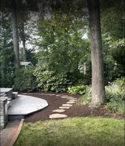 Reliable yard cleanup service for year-round maintenance across Glen Burnie, MD - Ever Lawn Care